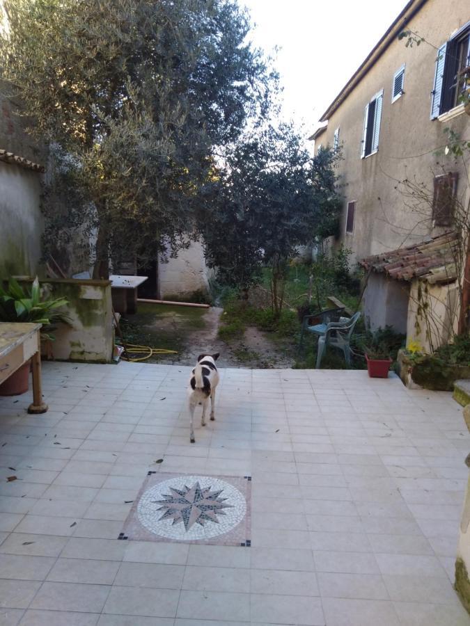 Casa Vacanza Zia Ersilia Rotondi ภายนอก รูปภาพ