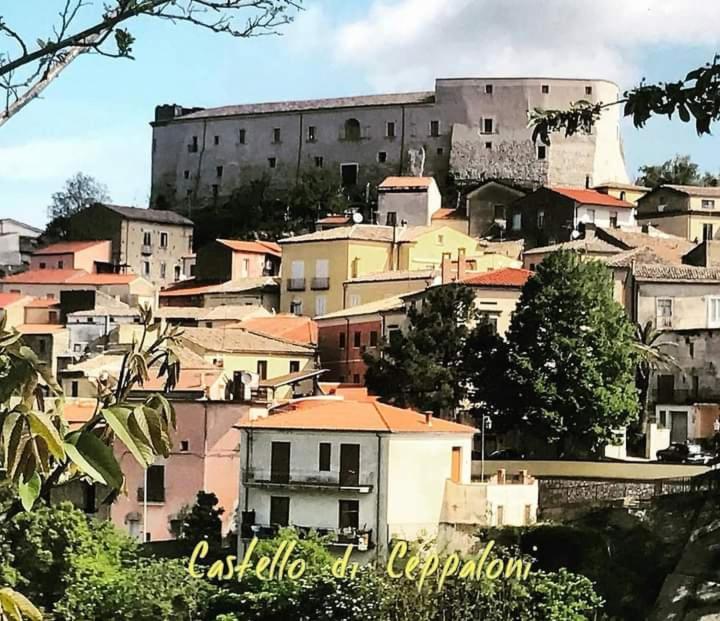 Casa Vacanza Zia Ersilia Rotondi ภายนอก รูปภาพ